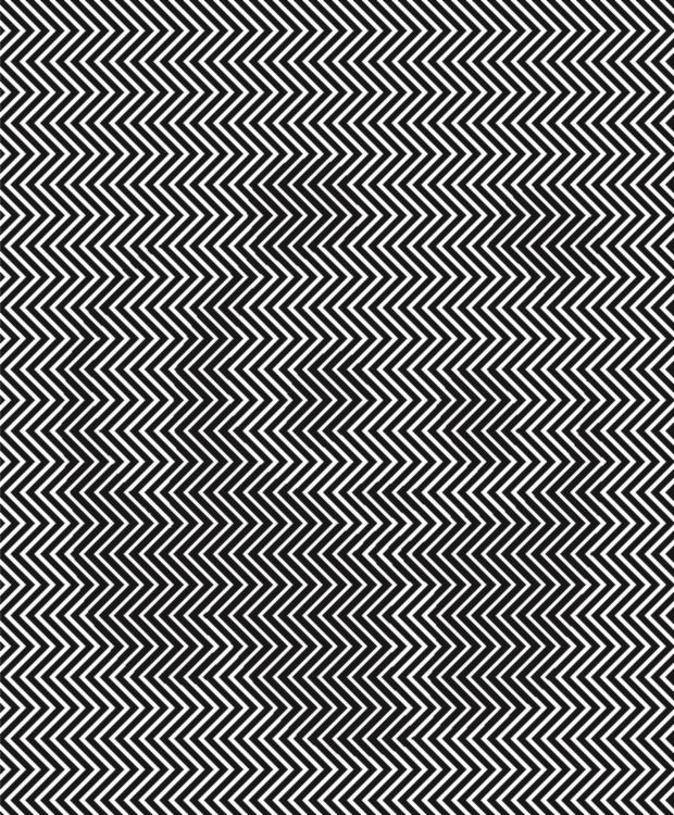 ilustracion--620x750